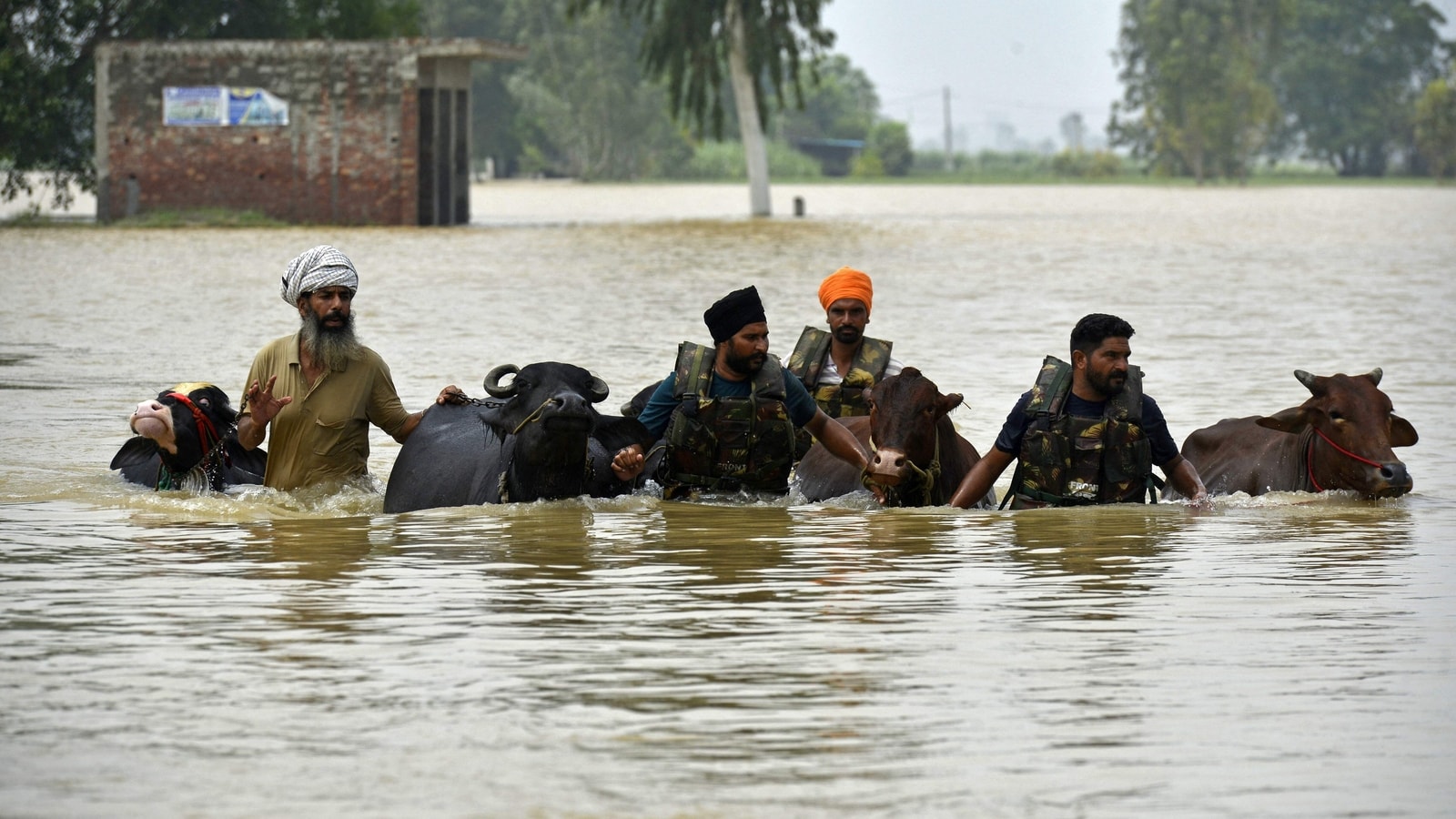 Punjab Flood